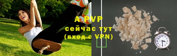 ешки Арсеньев