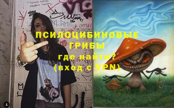 ешки Арсеньев